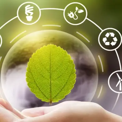 Palbit minimizes waste through optimized production, waste management systems, reusable packaging, and recycling partnerships